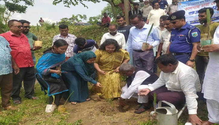 বজ্রপাত রোধে মহাসড়কের দুই পাশে তালগাছের চারা রোপণ