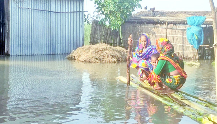 বন্যায় ডুবে আছে চর বালা ডোবা গ্রাম, দেখার কেউ নেই